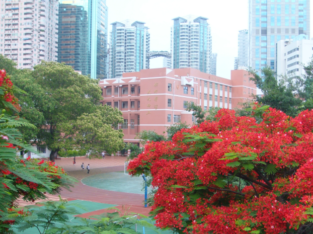 廈門大同小學(xué)怎么報(bào)名？廈門大同小學(xué)<a href=http://xielongmould.com/rxgl/ target=_blank class=infotextkey>入學(xué)</a>條件有哪些？
